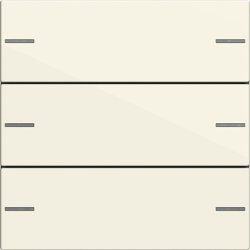 Gira Tangenter til Tastsensor 4 System 55 / 4-modul